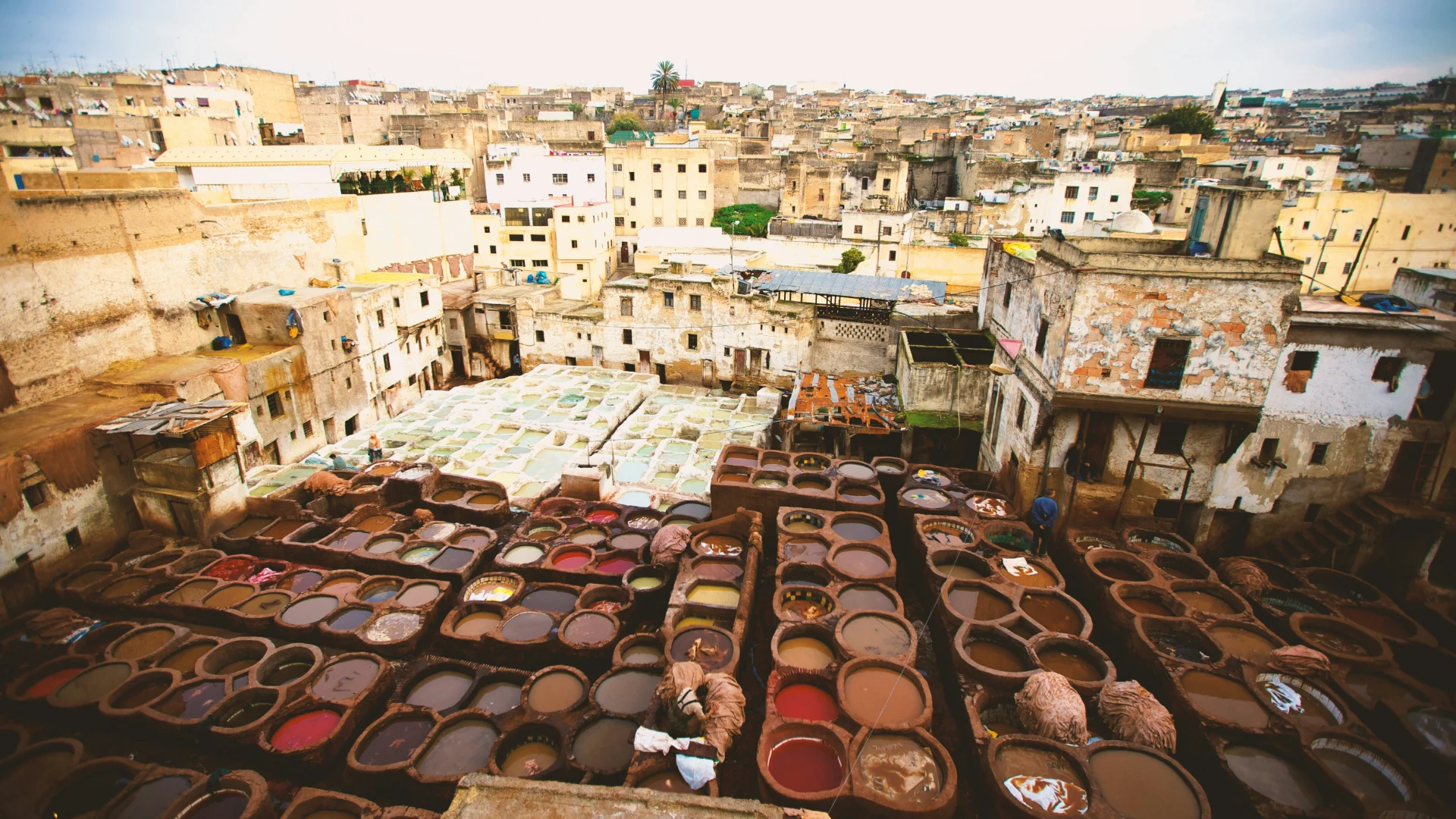 Discover Fes – Morocco’s Spiritual & Cultural Heart