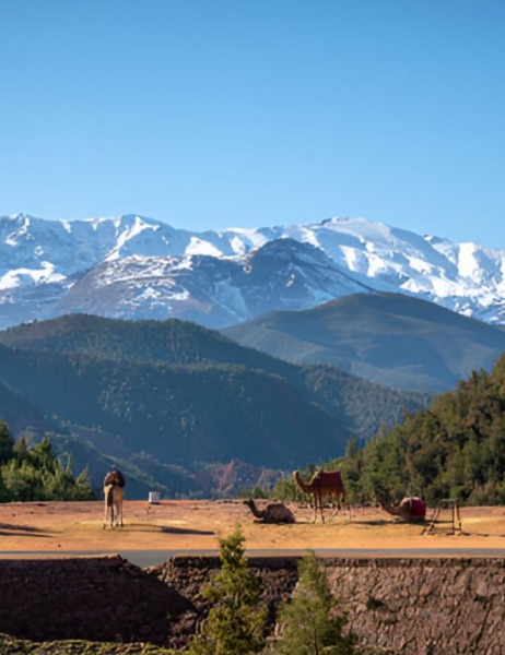 Imlil High Atlas Excursion – Mountain Village, Mule Ride & Amazigh Culture