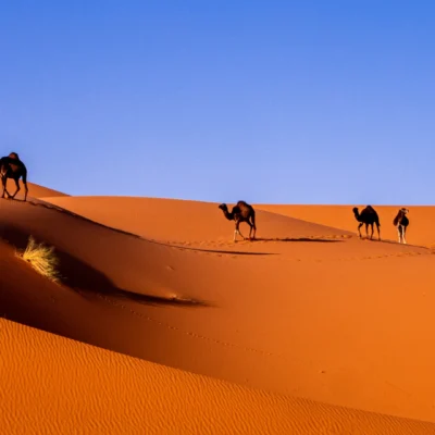 Discover Merzouga – The Heart of Morocco’s Sahara Desert